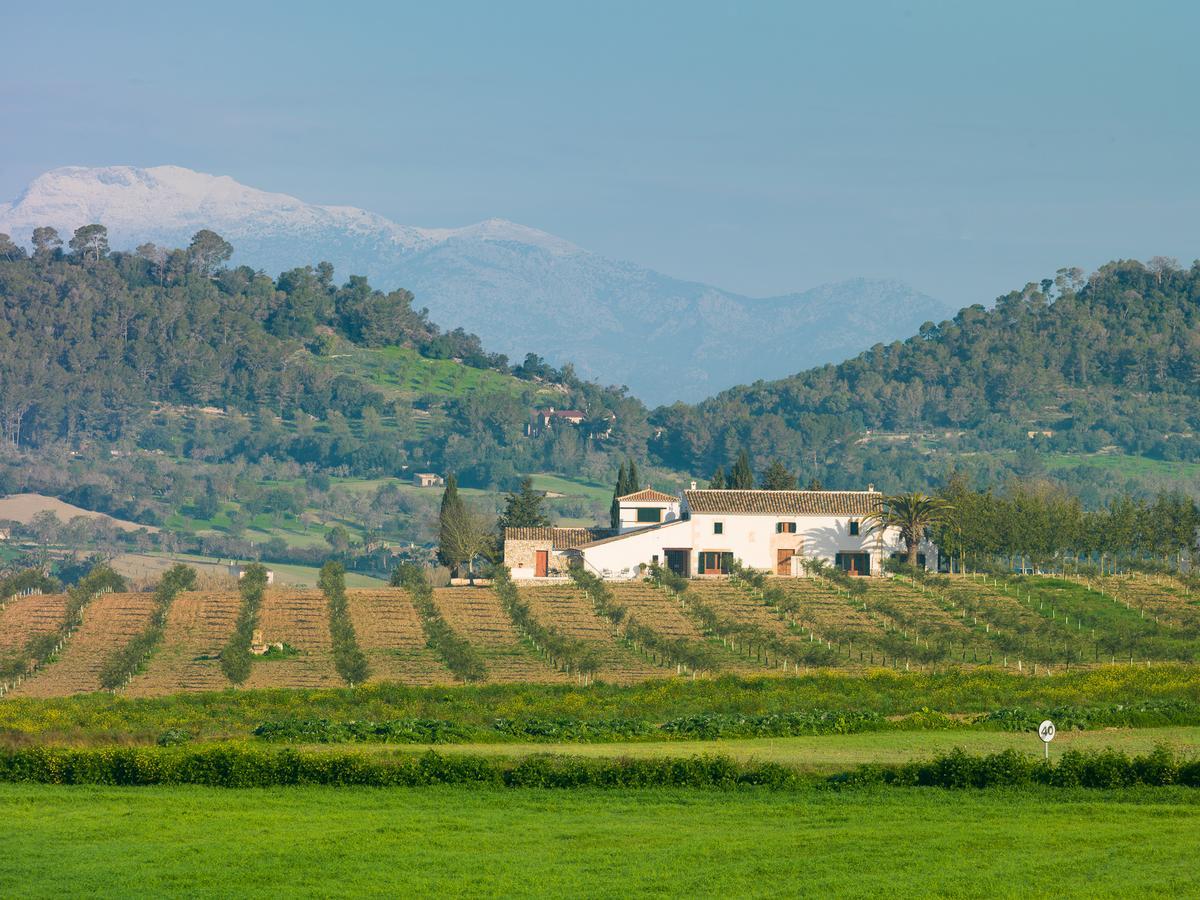 Agroturisme Gossalba Sant Joan エクステリア 写真